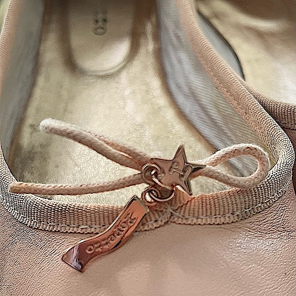 Repetto Cecile Embellished Ballet Flat - Picture 5 of 13